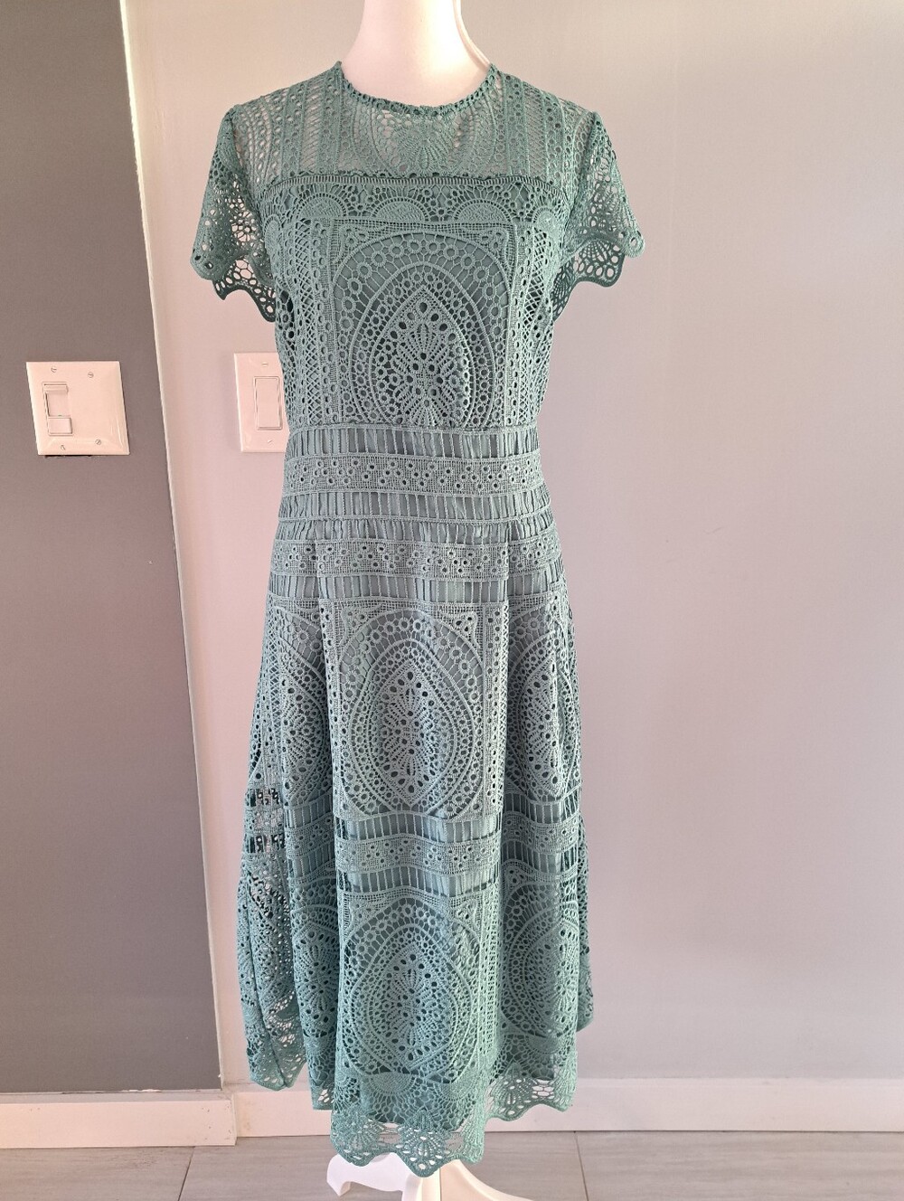 NWT WHBM Women's Lace Fit-and-Flare Midi Dress in Sage Green